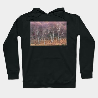 Birch Stand - end of the fall Hoodie